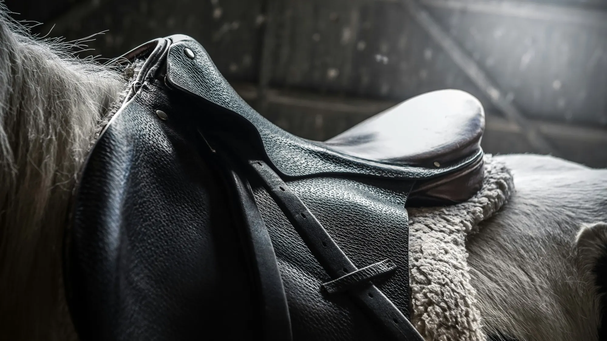 A leather saddle in a sunlit tack room